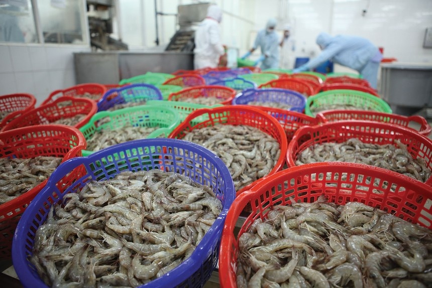 Seafood sector anticipates boost in exports